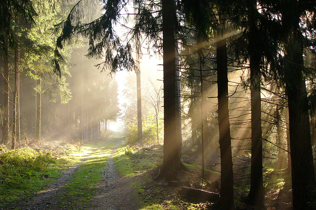 Seven Natural Wonders of Germany