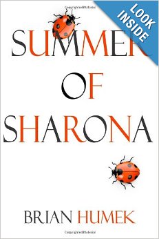 Summer of Sharona Young Adult Romance Novel - YA books